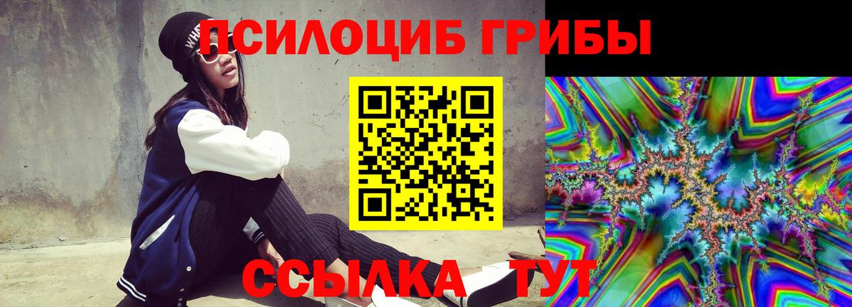 Ногинск  Галлюциногенные грибы прущие грибы  даркнет сайт  Вход с VPN 